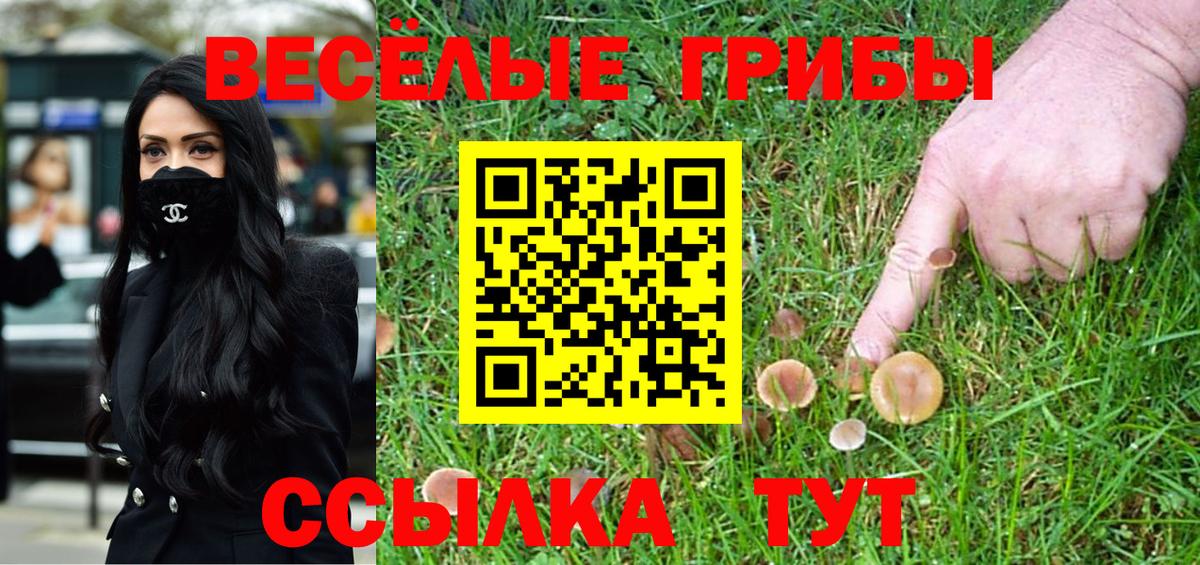 Псилоцибиновые грибы MAGIC MUSHROOMS  Вход с VPN  Псилоцибиновые грибы MAGIC MUSHROOMS  Чернушка 