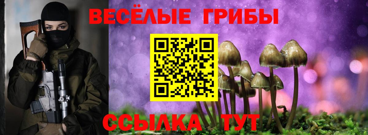 Галлюциногенные грибы ЛСД Чернушка