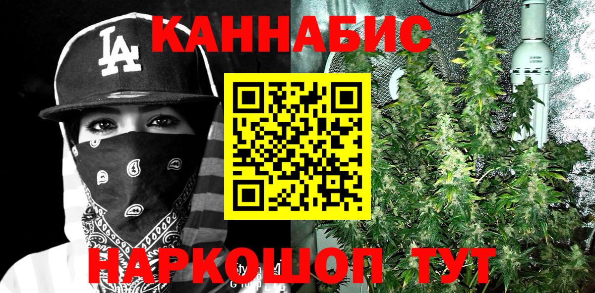 Каннабис марихуана Чернушка
